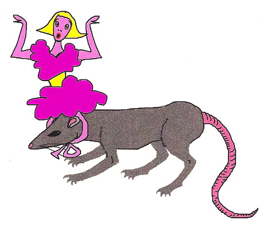 rat wearing a girlhat (computer drawing)